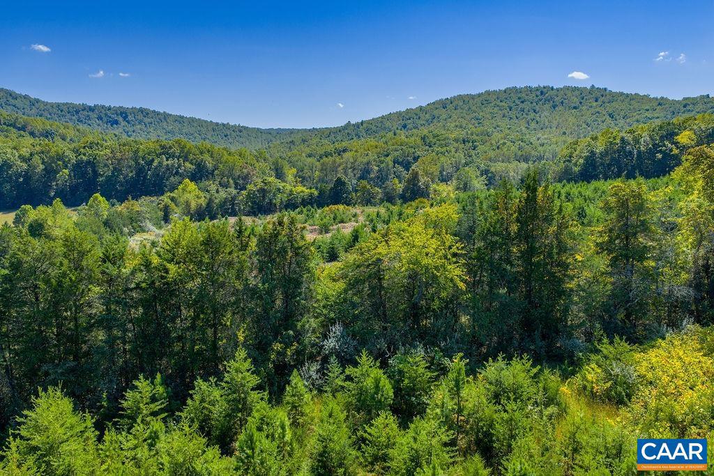 TBD STONY POINT PASS, KESWICK, Virginia 22947, ,Farm,For sale,TBD STONY POINT PASS,669065 MLS # 669065