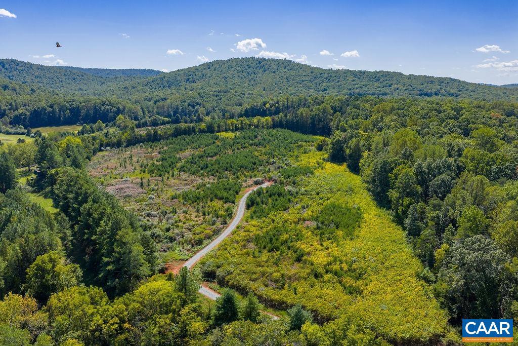TBD STONY POINT PASS, KESWICK, Virginia 22947, ,Farm,For sale,TBD STONY POINT PASS,669065 MLS # 669065