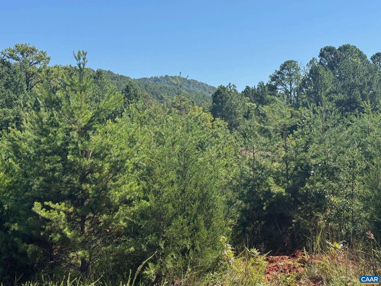 TBD STONY POINT PASS, KESWICK, Virginia 22947, ,Farm,For sale,TBD STONY POINT PASS,669065 MLS # 669065