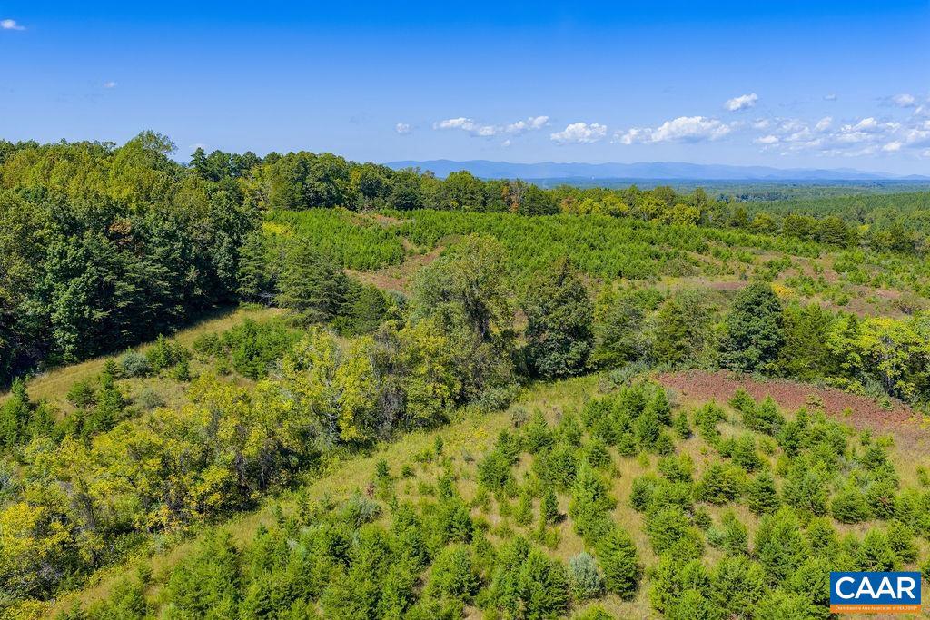 TBD STONY POINT PASS, KESWICK, Virginia 22947, ,Farm,For sale,TBD STONY POINT PASS,669065 MLS # 669065