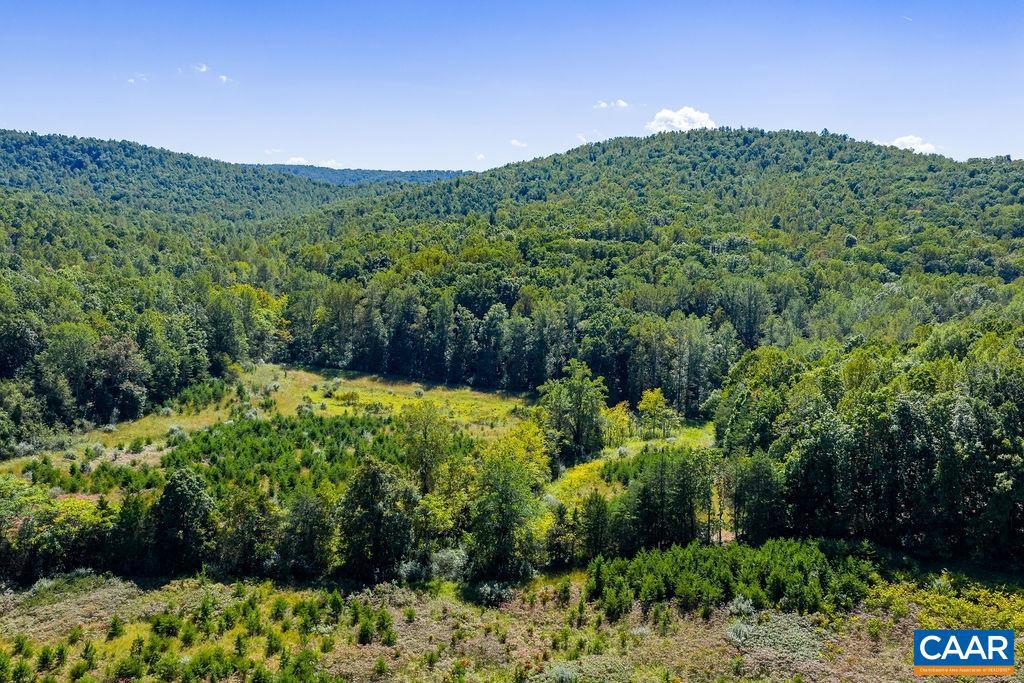 TBD STONY POINT PASS, KESWICK, Virginia 22947, ,Farm,For sale,TBD STONY POINT PASS,669065 MLS # 669065