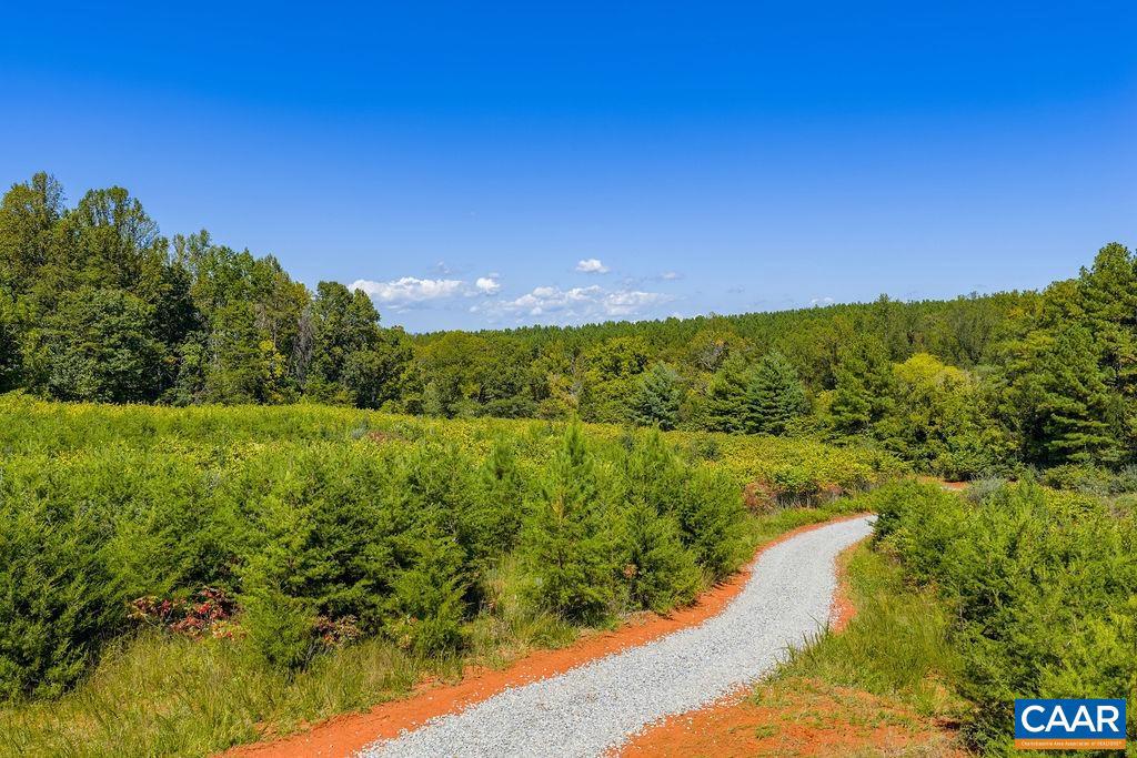 TBD STONY POINT PASS, KESWICK, Virginia 22947, ,Farm,For sale,TBD STONY POINT PASS,669065 MLS # 669065