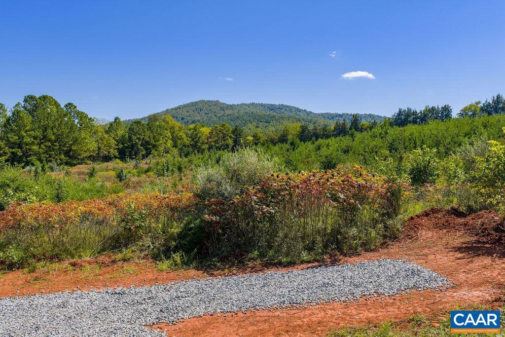 TBD STONY POINT PASS, KESWICK, Virginia 22947, ,Farm,For sale,TBD STONY POINT PASS,669065 MLS # 669065