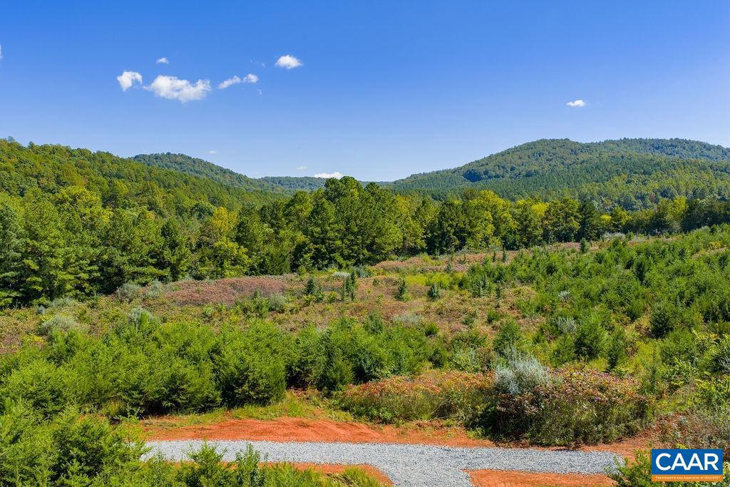 TBD STONY POINT PASS, KESWICK, Virginia 22947, ,Farm,For sale,TBD STONY POINT PASS,669065 MLS # 669065