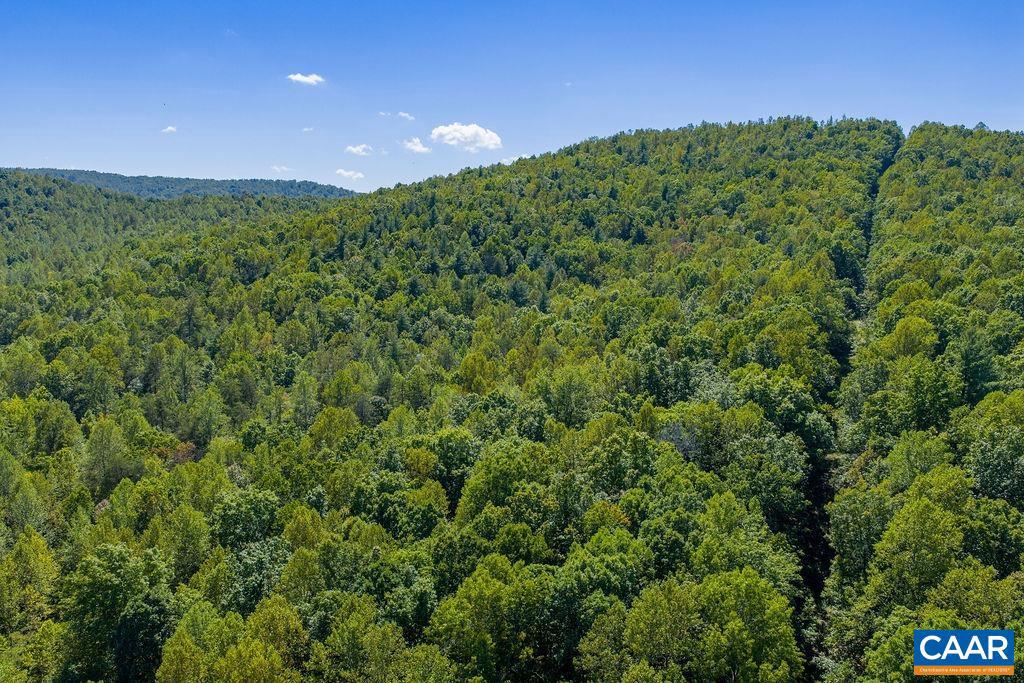 TBD STONY POINT PASS, KESWICK, Virginia 22947, ,Farm,For sale,TBD STONY POINT PASS,669065 MLS # 669065