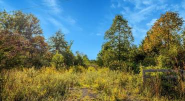 6019 TURNER RD, BROAD RUN, Virginia 20137, ,Land,For sale,6019 TURNER RD,VAPW2104202 MLS # VAPW2104202