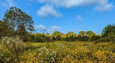 6021 TURNER RD, BROAD RUN, Virginia 20137, ,Land,For sale,6021 TURNER RD,VAPW2104206 MLS # VAPW2104206
