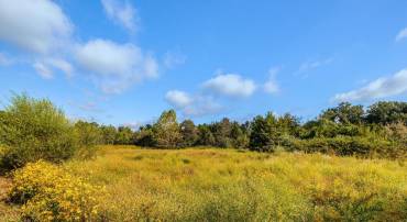 6023 TURNER RD, BROAD RUN, Virginia 20137, ,Land,For sale,6023 TURNER RD,VAPW2104232 MLS # VAPW2104232