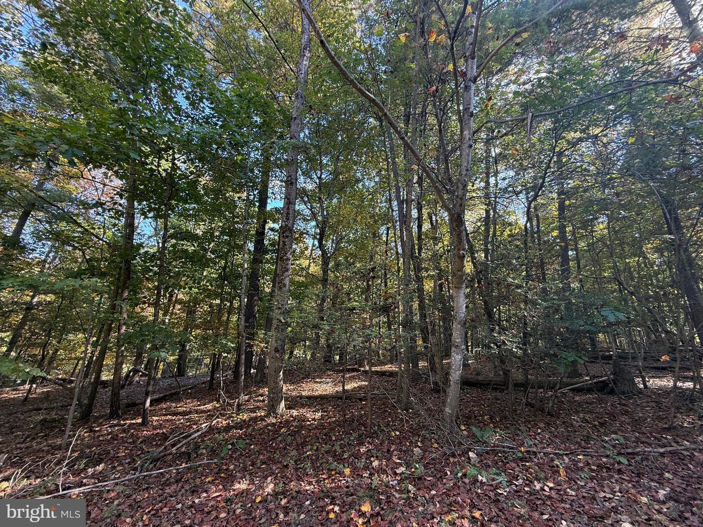 102 SOUTHWOOD, CROSS JUNCTION, Virginia 22625, ,Land,For sale,102 SOUTHWOOD,VAFV2036890 MLS # VAFV2036890