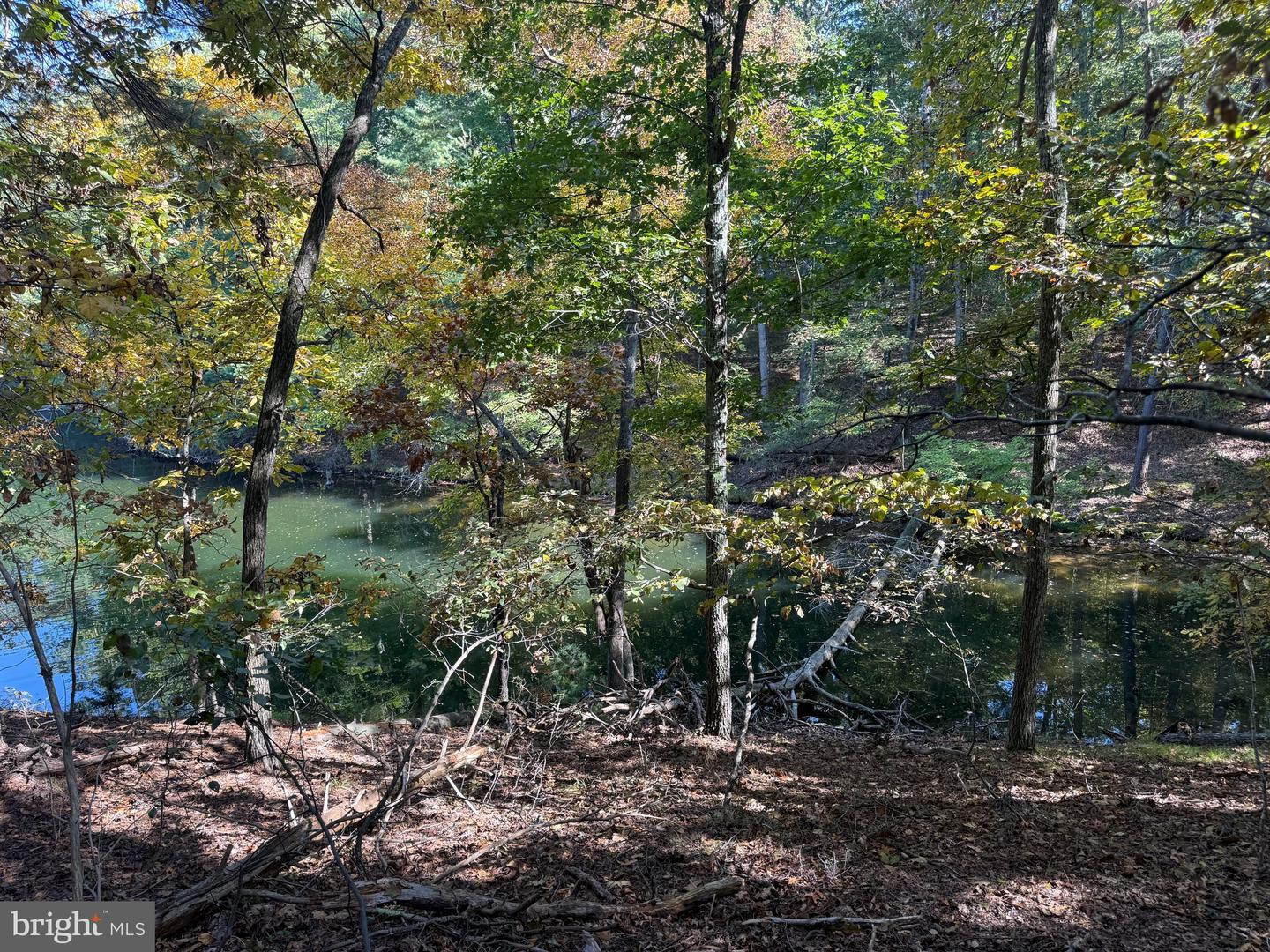 102 SOUTHWOOD, CROSS JUNCTION, Virginia 22625, ,Land,For sale,102 SOUTHWOOD,VAFV2036890 MLS # VAFV2036890