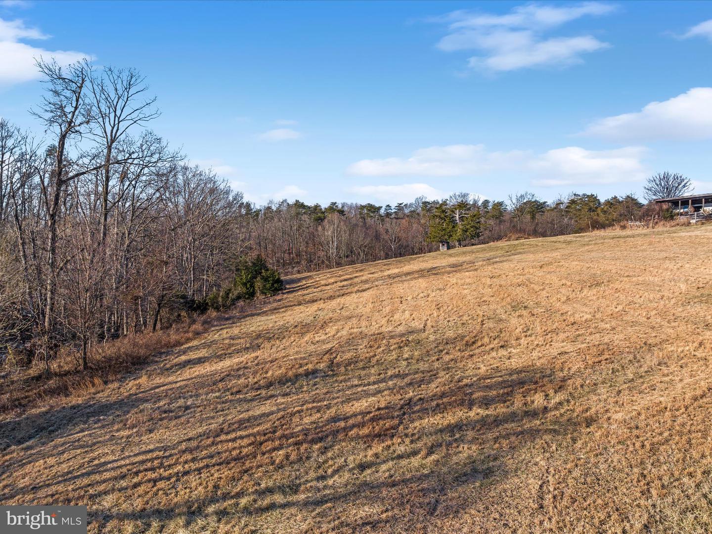 0 RUSS JOHNSON RD, FRONT ROYAL, Virginia 22630, ,Land,For sale,0 RUSS JOHNSON RD,VAWR2012332 MLS # VAWR2012332 0 RUSS JOHNSON RD, FRONT ROYAL, Virginia 22630, ,Land,For sale,0 RUSS JOHNSON RD,VAWR2012332 MLS # VAWR2012332