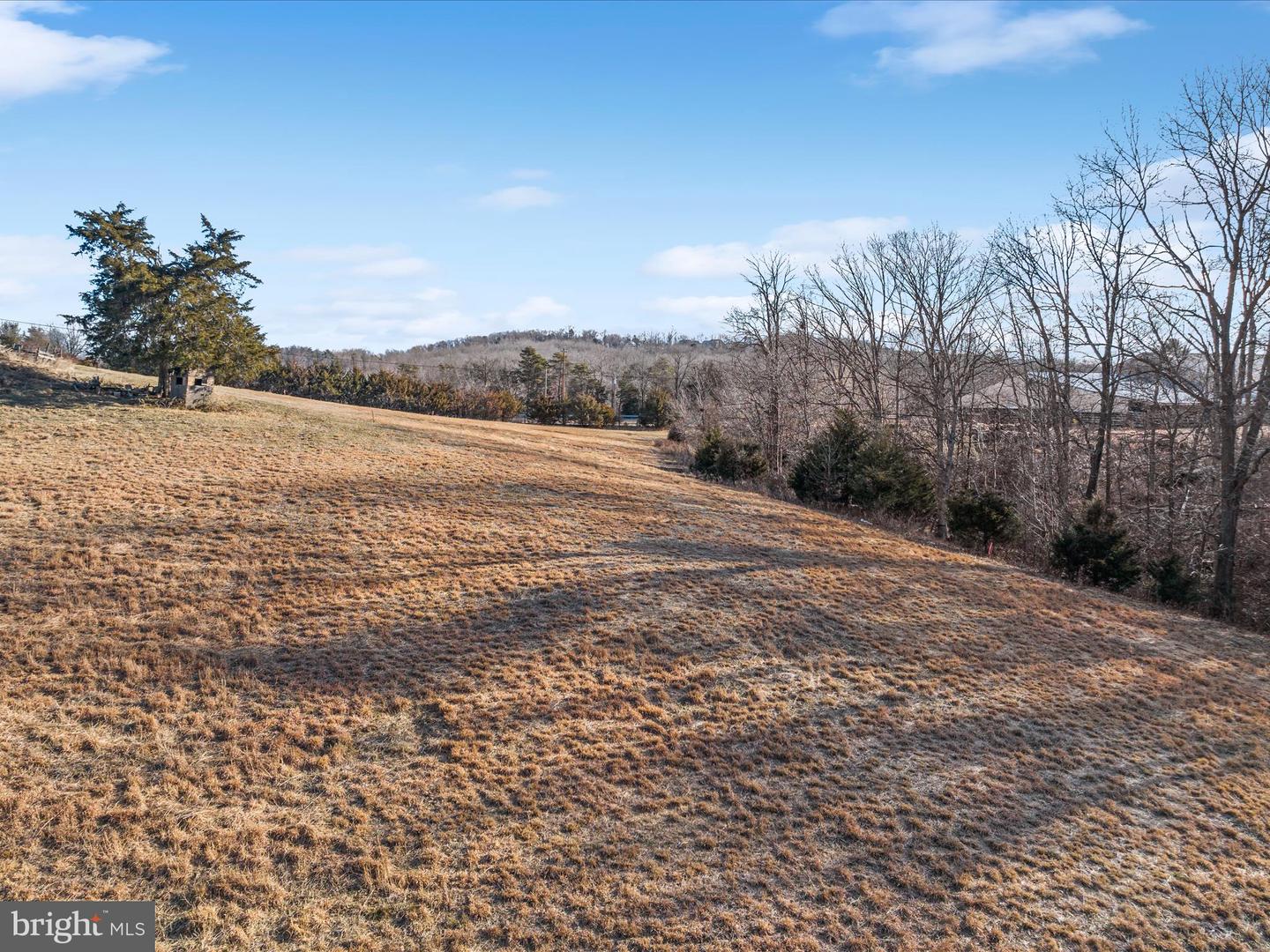 0 RUSS JOHNSON RD, FRONT ROYAL, Virginia 22630, ,Land,For sale,0 RUSS JOHNSON RD,VAWR2012332 MLS # VAWR2012332 0 RUSS JOHNSON RD, FRONT ROYAL, Virginia 22630, ,Land,For sale,0 RUSS JOHNSON RD,VAWR2012332 MLS # VAWR2012332