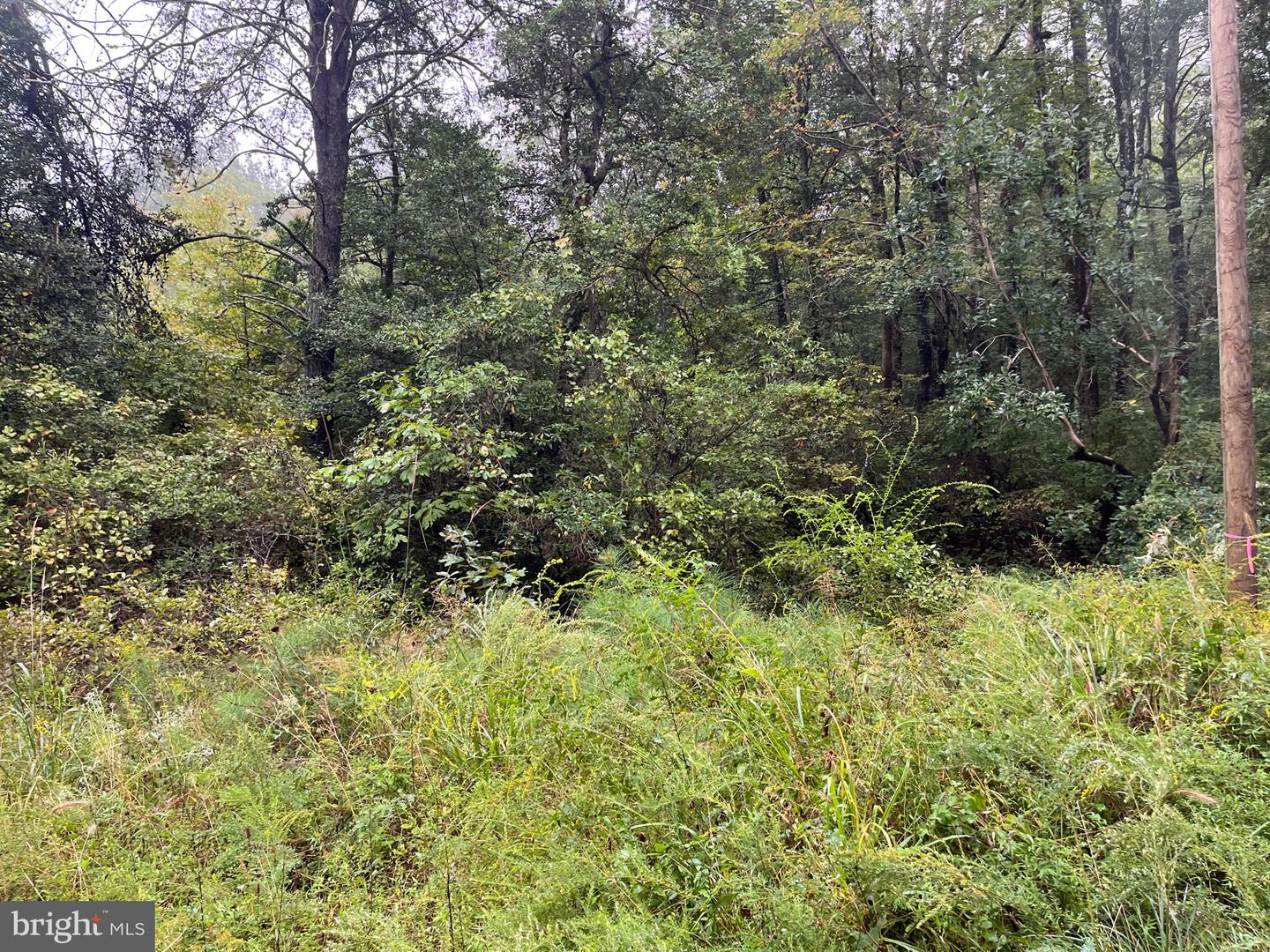 LOT 20 CHRYSTAL RD., COLONIAL BEACH, Virginia 22443, ,Land,For sale,LOT 20 CHRYSTAL RD.,VAWE2009802 MLS # VAWE2009802