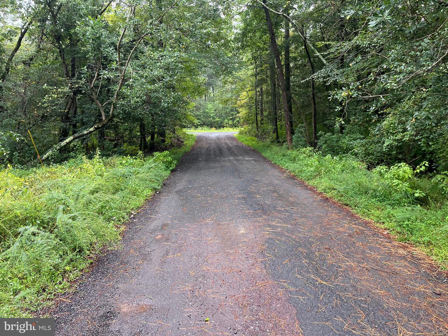 LOT 20 CHRYSTAL RD., COLONIAL BEACH, Virginia 22443, ,Land,For sale,LOT 20 CHRYSTAL RD.,VAWE2009802 MLS # VAWE2009802