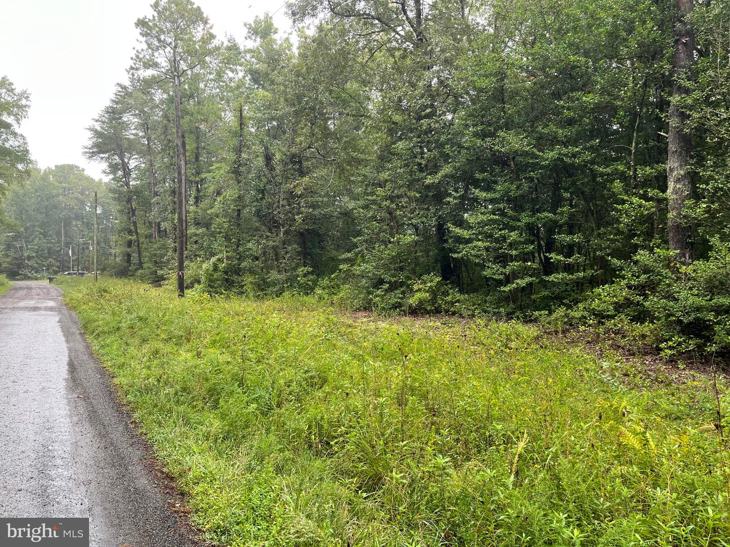 LOT 20 CHRYSTAL RD., COLONIAL BEACH, Virginia 22443, ,Land,For sale,LOT 20 CHRYSTAL RD.,VAWE2009802 MLS # VAWE2009802