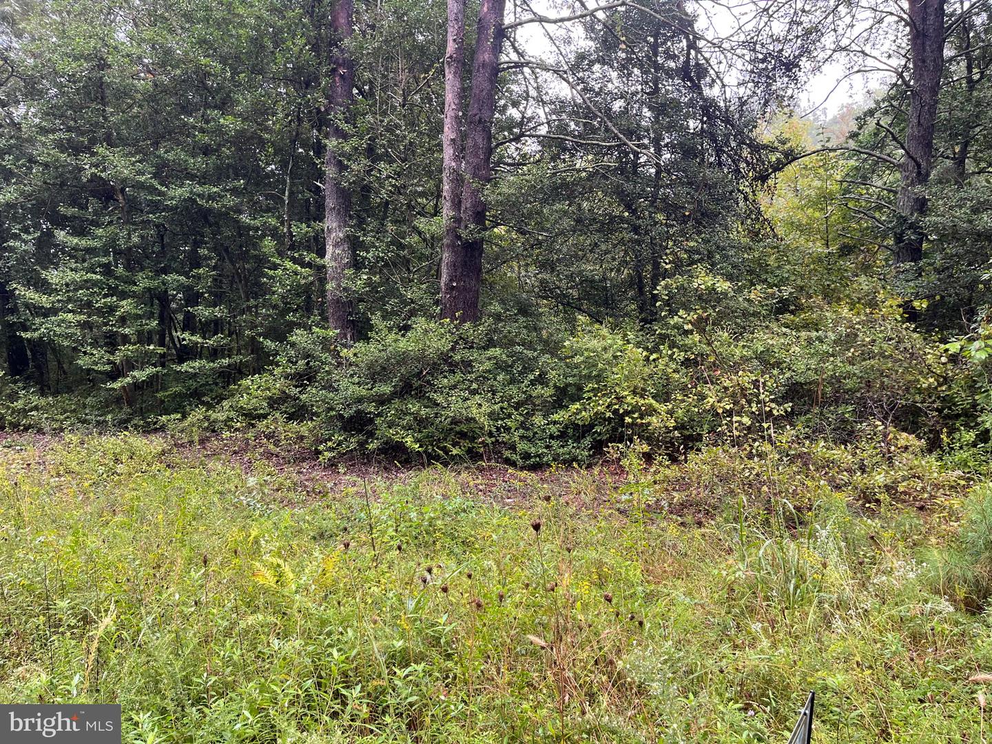 LOT 20 CHRYSTAL RD., COLONIAL BEACH, Virginia 22443, ,Land,For sale,LOT 20 CHRYSTAL RD.,VAWE2009802 MLS # VAWE2009802