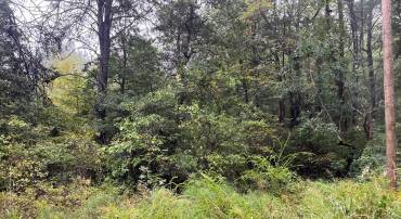 LOT 20 CHRYSTAL RD., COLONIAL BEACH, Virginia 22443, ,Land,For sale,LOT 20 CHRYSTAL RD.,VAWE2009802 MLS # VAWE2009802