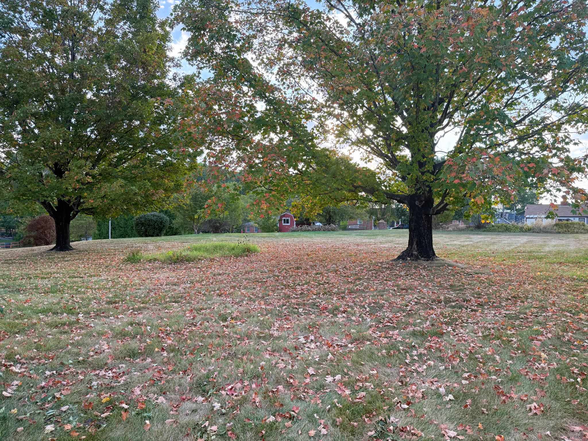 47 GISH LN, STAUNTON, Virginia 24401, 3 Bedrooms Bedrooms, ,1 BathroomBathrooms,Residential,47 GISH LN,669218 MLS # 669218
