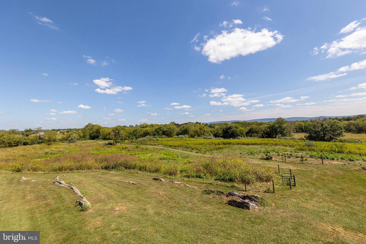 1744 LORD FAIRFAX HWY, BERRYVILLE, Virginia 22611, 4 Bedrooms Bedrooms, ,2 BathroomsBathrooms,Farm,For sale,1744 LORD FAIRFAX HWY,VACL2006010 MLS # VACL2006010