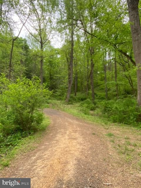 NEW MOUNTAIN RD, ALDIE, Virginia 20105, ,Farm,For sale,NEW MOUNTAIN RD,VALO2107344 MLS # VALO2107344