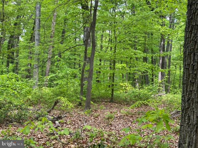 NEW MOUNTAIN RD, ALDIE, Virginia 20105, ,Farm,For sale,NEW MOUNTAIN RD,VALO2107344 MLS # VALO2107344