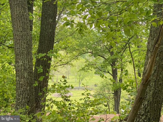 NEW MOUNTAIN RD, ALDIE, Virginia 20105, ,Farm,For sale,NEW MOUNTAIN RD,VALO2107344 MLS # VALO2107344