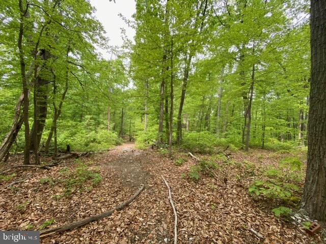 NEW MOUNTAIN RD, ALDIE, Virginia 20105, ,Farm,For sale,NEW MOUNTAIN RD,VALO2107344 MLS # VALO2107344