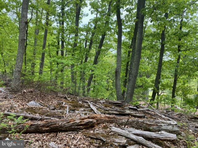 NEW MOUNTAIN RD, ALDIE, Virginia 20105, ,Farm,For sale,NEW MOUNTAIN RD,VALO2107344 MLS # VALO2107344