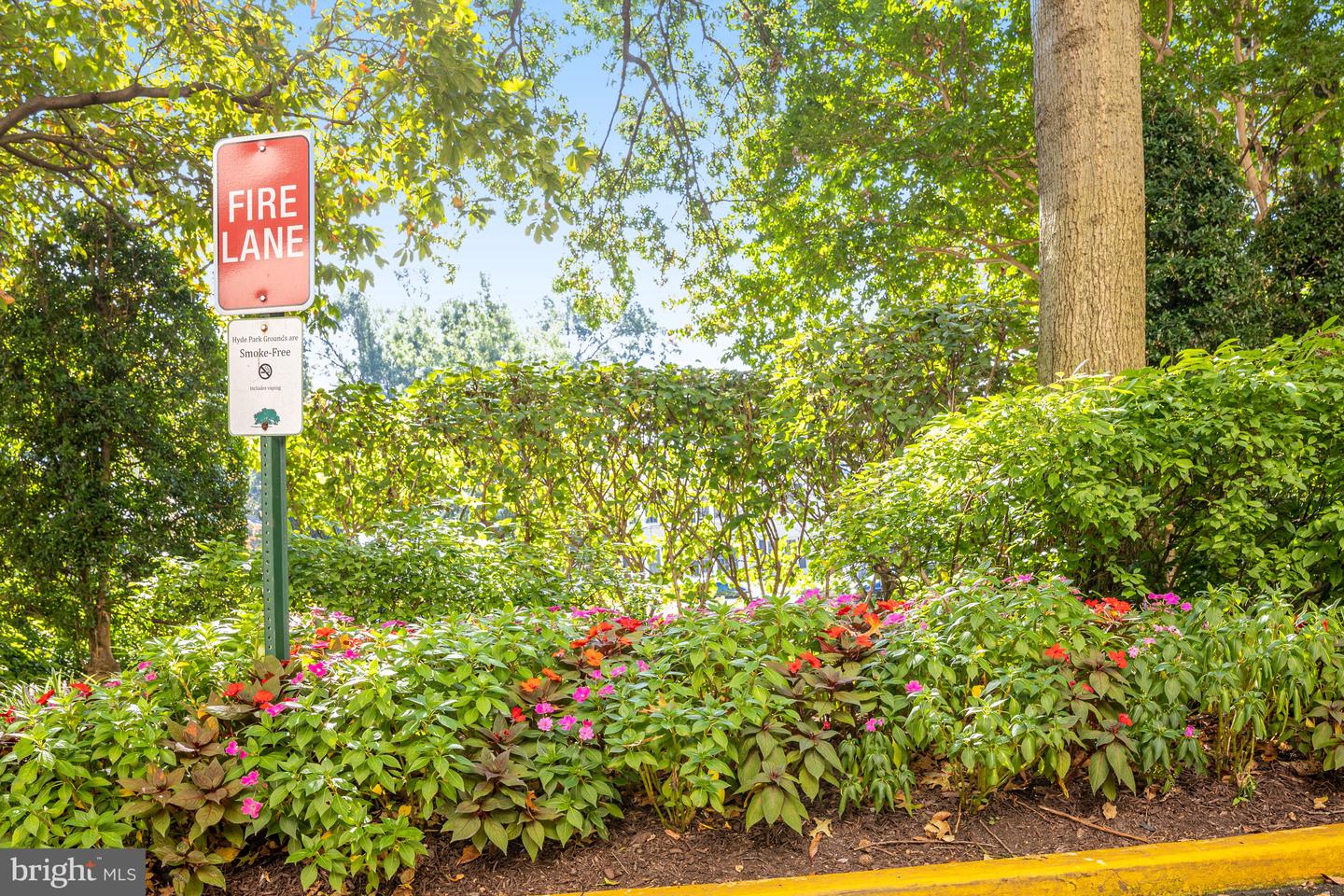 4141 HENDERSON RD #303, ARLINGTON, Virginia 22203, 1 Bedroom Bedrooms, ,1 BathroomBathrooms,Residential,For sale,4141 HENDERSON RD #303,VAAR2063516 MLS # VAAR2063516 4141 HENDERSON RD #303, ARLINGTON, Virginia 22203, 1 Bedroom Bedrooms, ,1 BathroomBathrooms,Residential,For sale,4141 HENDERSON RD #303,VAAR2063516 MLS # VAAR2063516