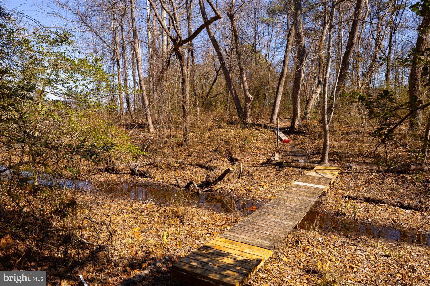 67 STERN WAY, MONTROSS, Virginia 22520, 3 Bedrooms Bedrooms, ,2 BathroomsBathrooms,Residential,For sale,67 STERN WAY,VAWE2009794 MLS # VAWE2009794 67 STERN WAY, MONTROSS, Virginia 22520, 3 Bedrooms Bedrooms, ,2 BathroomsBathrooms,Residential,For sale,67 STERN WAY,VAWE2009794 MLS # VAWE2009794