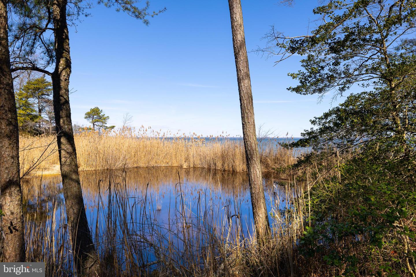 67 STERN WAY, MONTROSS, Virginia 22520, 3 Bedrooms Bedrooms, ,2 BathroomsBathrooms,Residential,For sale,67 STERN WAY,VAWE2009794 MLS # VAWE2009794 67 STERN WAY, MONTROSS, Virginia 22520, 3 Bedrooms Bedrooms, ,2 BathroomsBathrooms,Residential,For sale,67 STERN WAY,VAWE2009794 MLS # VAWE2009794