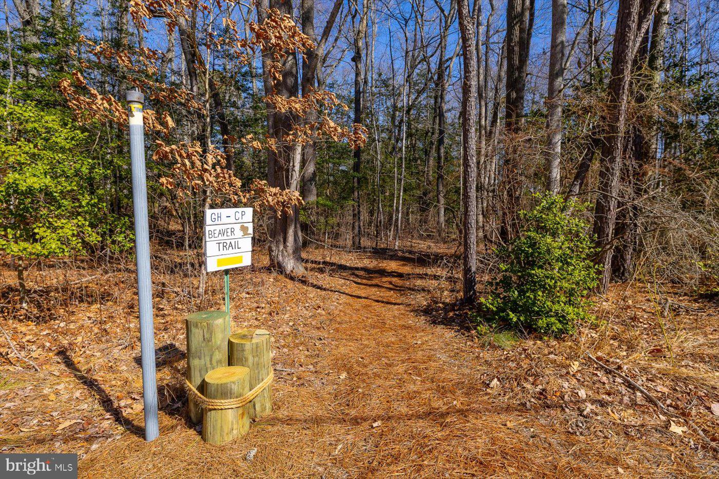 67 STERN WAY, MONTROSS, Virginia 22520, 3 Bedrooms Bedrooms, ,2 BathroomsBathrooms,Residential,For sale,67 STERN WAY,VAWE2009794 MLS # VAWE2009794 67 STERN WAY, MONTROSS, Virginia 22520, 3 Bedrooms Bedrooms, ,2 BathroomsBathrooms,Residential,For sale,67 STERN WAY,VAWE2009794 MLS # VAWE2009794