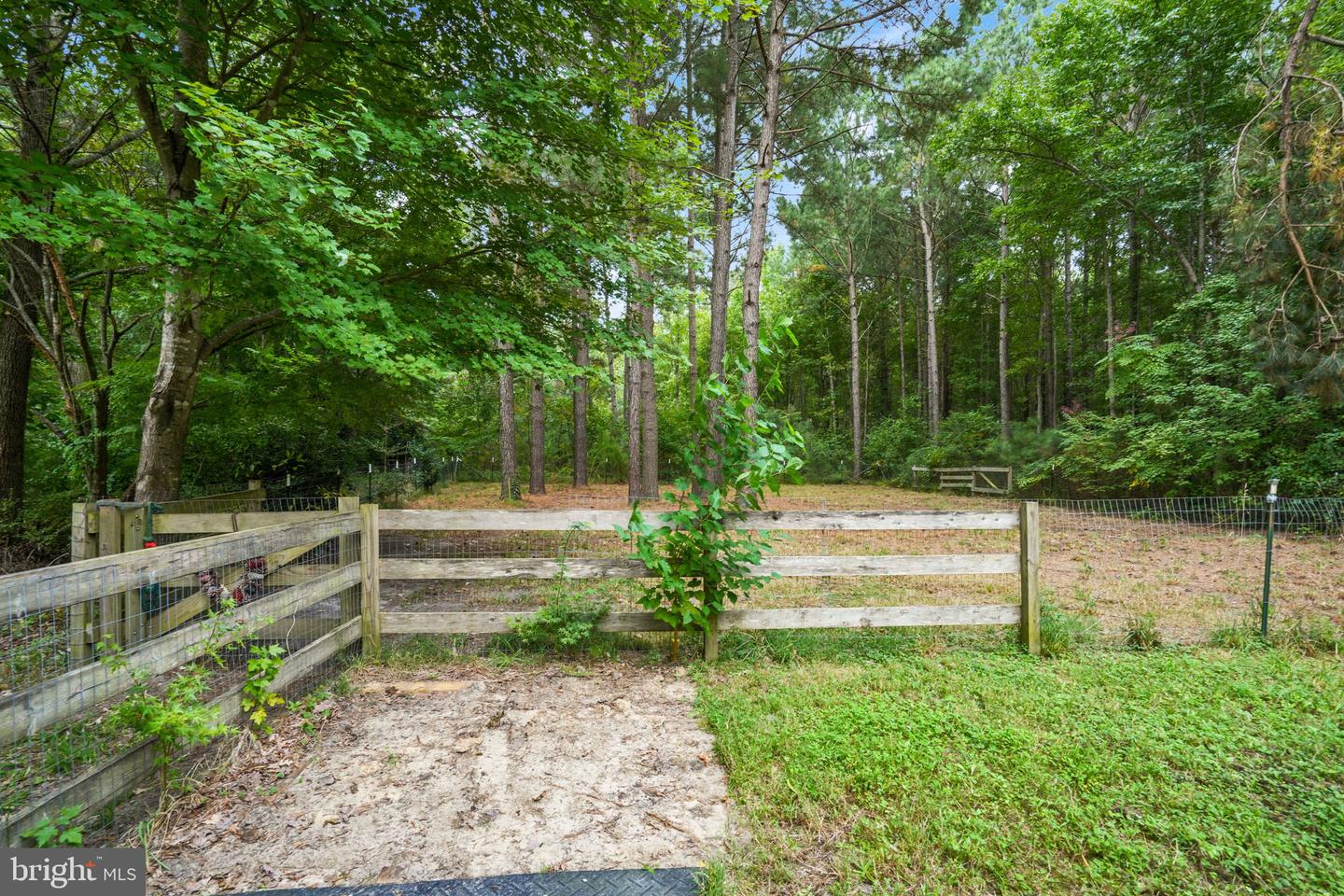 12564 HACKS NECK RD, HACKSNECK, Virginia 23358, 3 Bedrooms Bedrooms, ,2 BathroomsBathrooms,Residential,For sale,12564 HACKS NECK RD,VAAC2002270 MLS # VAAC2002270