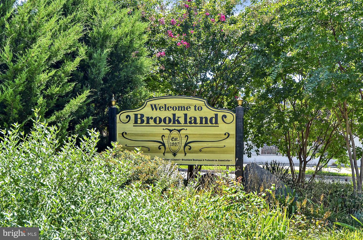 4016 21ST ST NE, WASHINGTON, District Of Columbia 20018, 4 Bedrooms Bedrooms, ,2 BathroomsBathrooms,Residential,For sale,4016 21ST ST NE,DCDC2223438 MLS # DCDC2223438 4016 21ST ST NE, WASHINGTON, District Of Columbia 20018, 4 Bedrooms Bedrooms, ,2 BathroomsBathrooms,Residential,For sale,4016 21ST ST NE,DCDC2223438 MLS # DCDC2223438