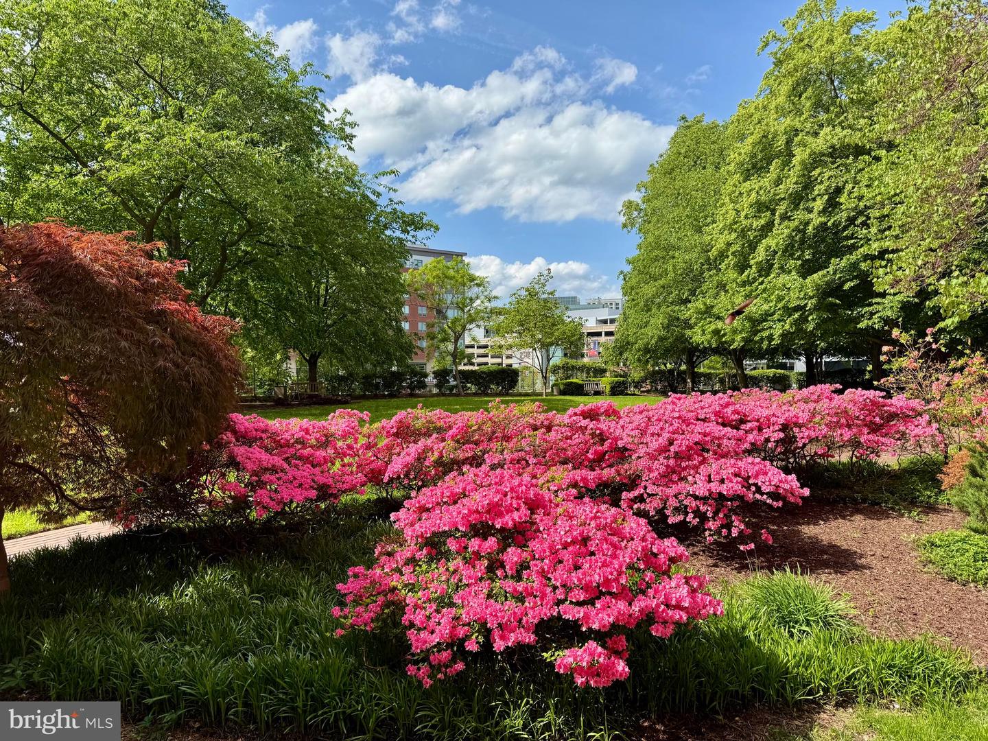 4141 N HENDERSON RD #511, ARLINGTON, Virginia 22203, 2 Bedrooms Bedrooms, ,2 BathroomsBathrooms,Residential,For sale,4141 N HENDERSON RD #511,VAAR2063984 MLS # VAAR2063984