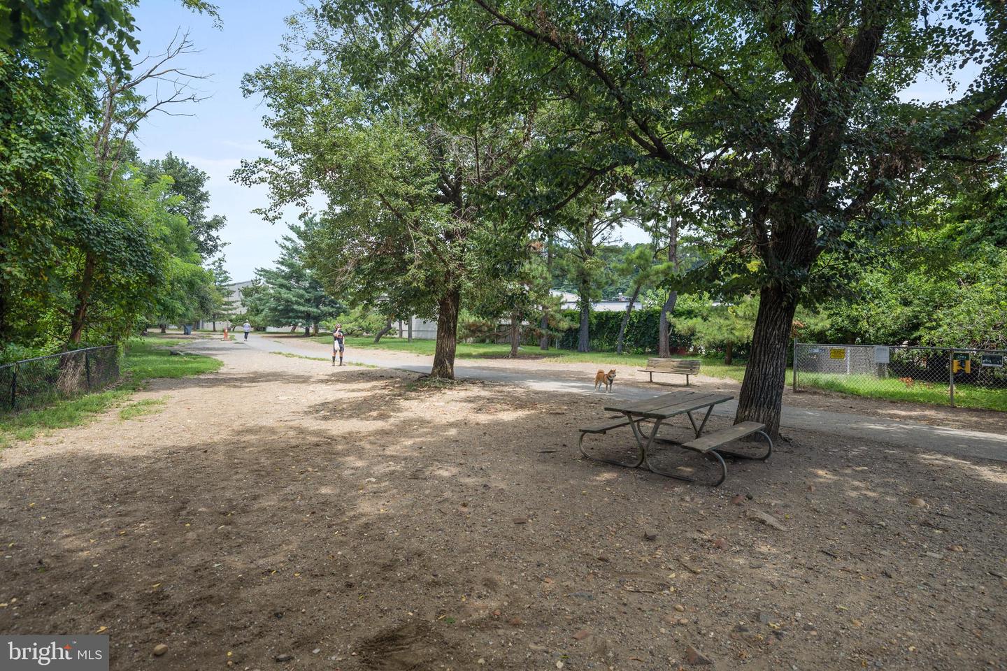 2823 24TH RD S, ARLINGTON, Virginia 22206, 3 Bedrooms Bedrooms, ,2 BathroomsBathrooms,Residential,For sale,2823 24TH RD S,VAAR2064008 MLS # VAAR2064008