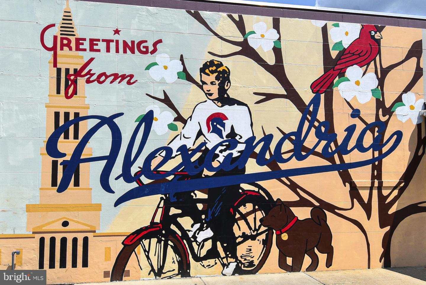 3315 WYNDHAM CIR #1223, ALEXANDRIA, Virginia 22302, 1 Bedroom Bedrooms, ,1 BathroomBathrooms,Residential,For sale,3315 WYNDHAM CIR #1223,VAAX2049492 MLS # VAAX2049492 3315 WYNDHAM CIR #1223, ALEXANDRIA, Virginia 22302, 1 Bedroom Bedrooms, ,1 BathroomBathrooms,Residential,For sale,3315 WYNDHAM CIR #1223,VAAX2049492 MLS # VAAX2049492