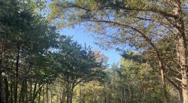 D47 GREENWAY LN, LURAY, Virginia 22835, ,Land,D47 GREENWAY LN,669252 MLS # 669252