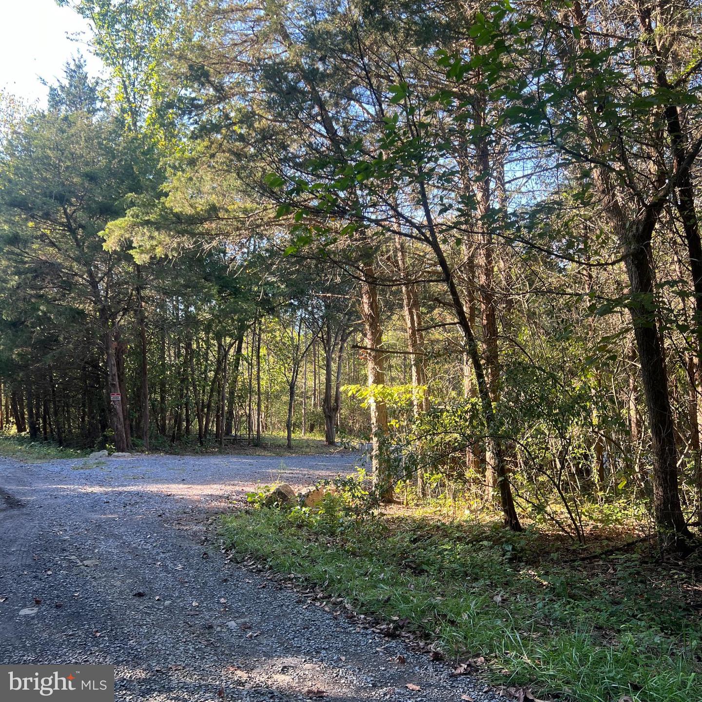 D47 GREENWAY LN, LURAY, Virginia 22835, ,Land,For sale,D47 GREENWAY LN,VAPA2005388 MLS # VAPA2005388