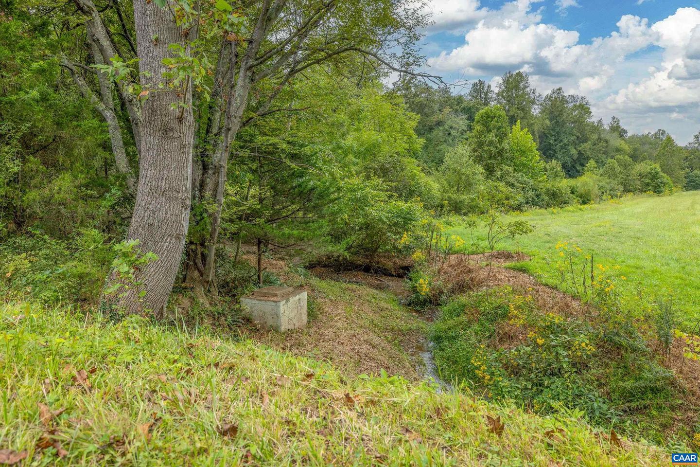 0 HORN HOLLOW LN, MADISON, Virginia 22727, ,Land,For sale,0 HORN HOLLOW LN,669239 MLS # 669239