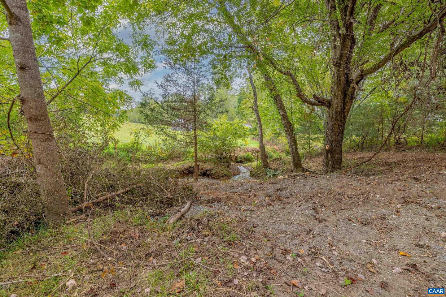 0 HORN HOLLOW LN, MADISON, Virginia 22727, ,Land,For sale,0 HORN HOLLOW LN,669239 MLS # 669239