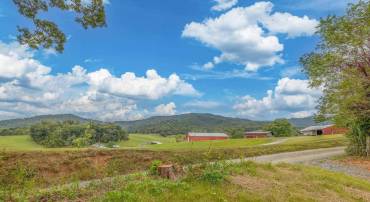 0 HORN HOLLOW LN, MADISON, Virginia 22727, ,Land,For sale,0 HORN HOLLOW LN,669239 MLS # 669239