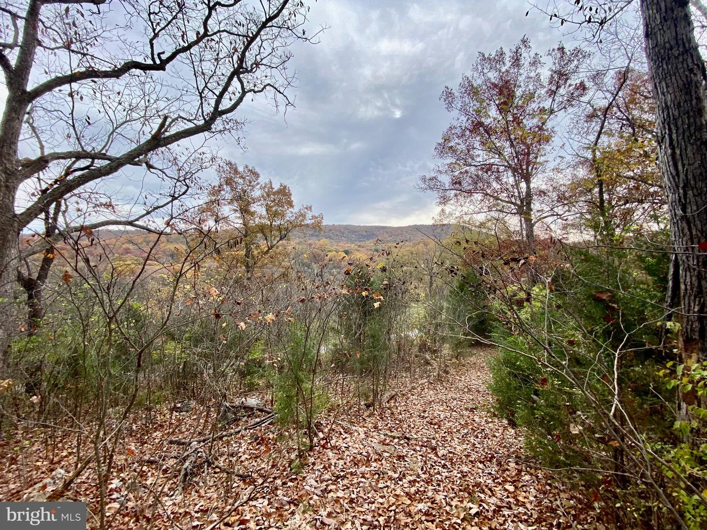 0 OLD CAVE RD, FRONT ROYAL, Virginia 22630, ,Land,For sale,0 OLD CAVE RD,VAWR2012392 MLS # VAWR2012392