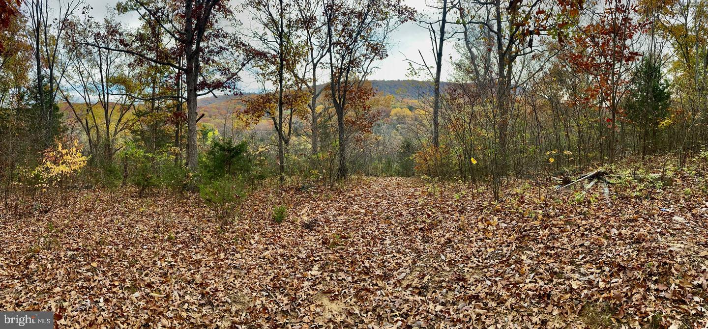 0 OLD CAVE RD, FRONT ROYAL, Virginia 22630, ,Land,For sale,0 OLD CAVE RD,VAWR2012392 MLS # VAWR2012392