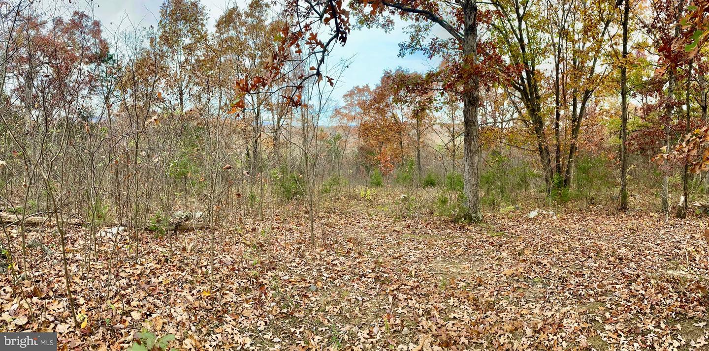 0 OLD CAVE RD, FRONT ROYAL, Virginia 22630, ,Land,For sale,0 OLD CAVE RD,VAWR2012392 MLS # VAWR2012392