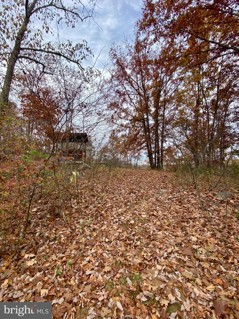 0 OLD CAVE RD, FRONT ROYAL, Virginia 22630, ,Land,For sale,0 OLD CAVE RD,VAWR2012392 MLS # VAWR2012392