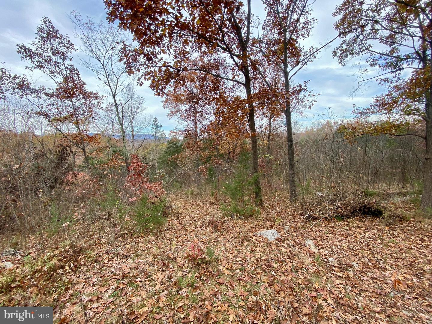 0 OLD CAVE RD, FRONT ROYAL, Virginia 22630, ,Land,For sale,0 OLD CAVE RD,VAWR2012392 MLS # VAWR2012392