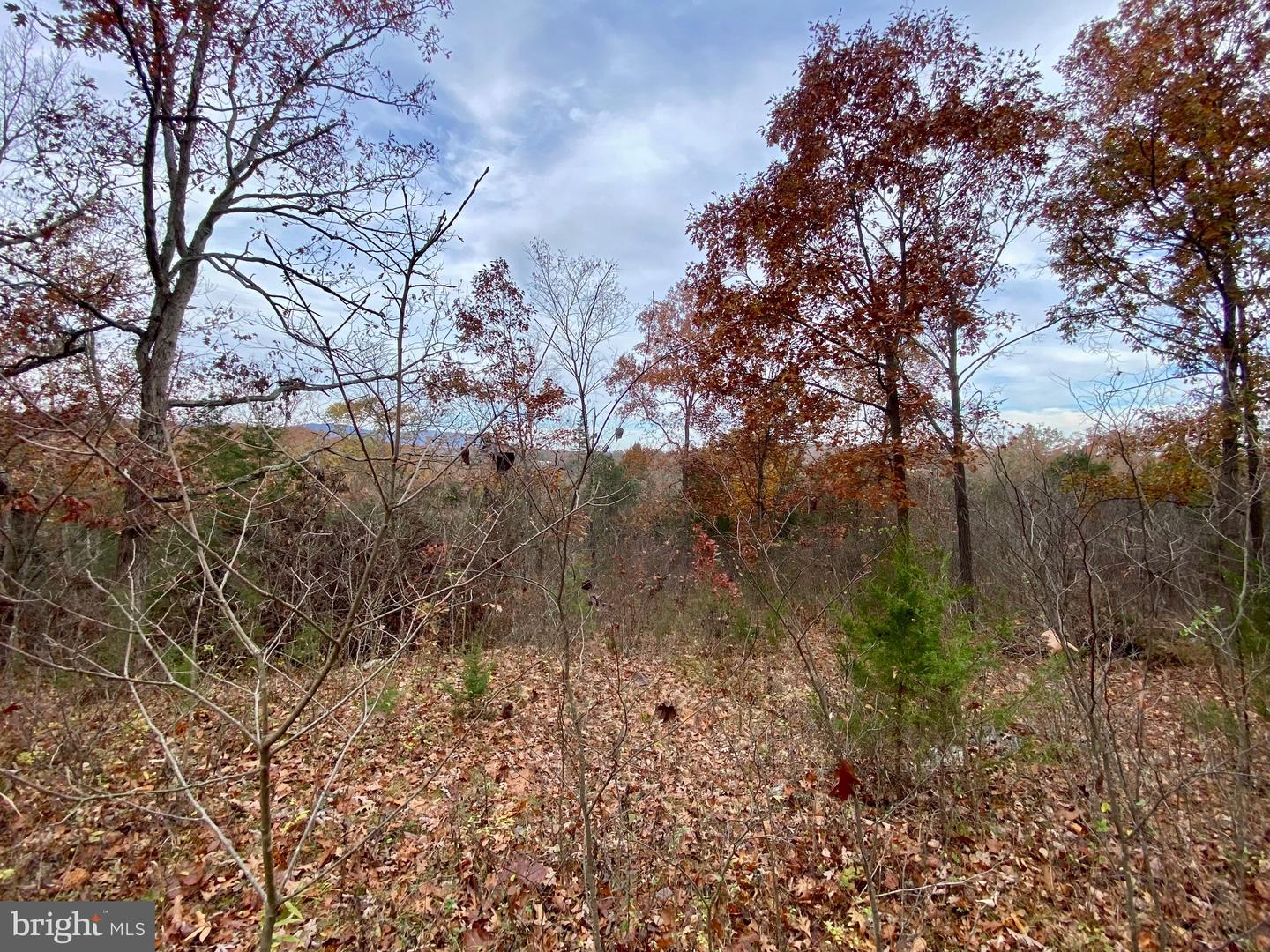 0 OLD CAVE RD, FRONT ROYAL, Virginia 22630, ,Land,For sale,0 OLD CAVE RD,VAWR2012392 MLS # VAWR2012392