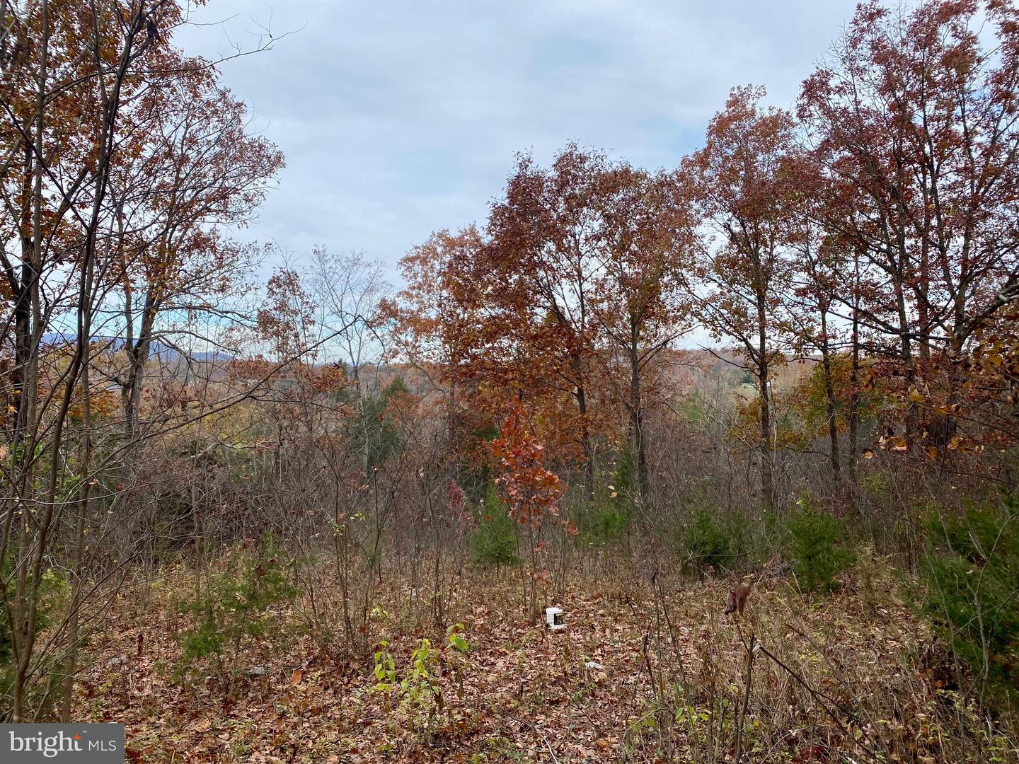 0 OLD CAVE RD, FRONT ROYAL, Virginia 22630, ,Land,For sale,0 OLD CAVE RD,VAWR2012392 MLS # VAWR2012392