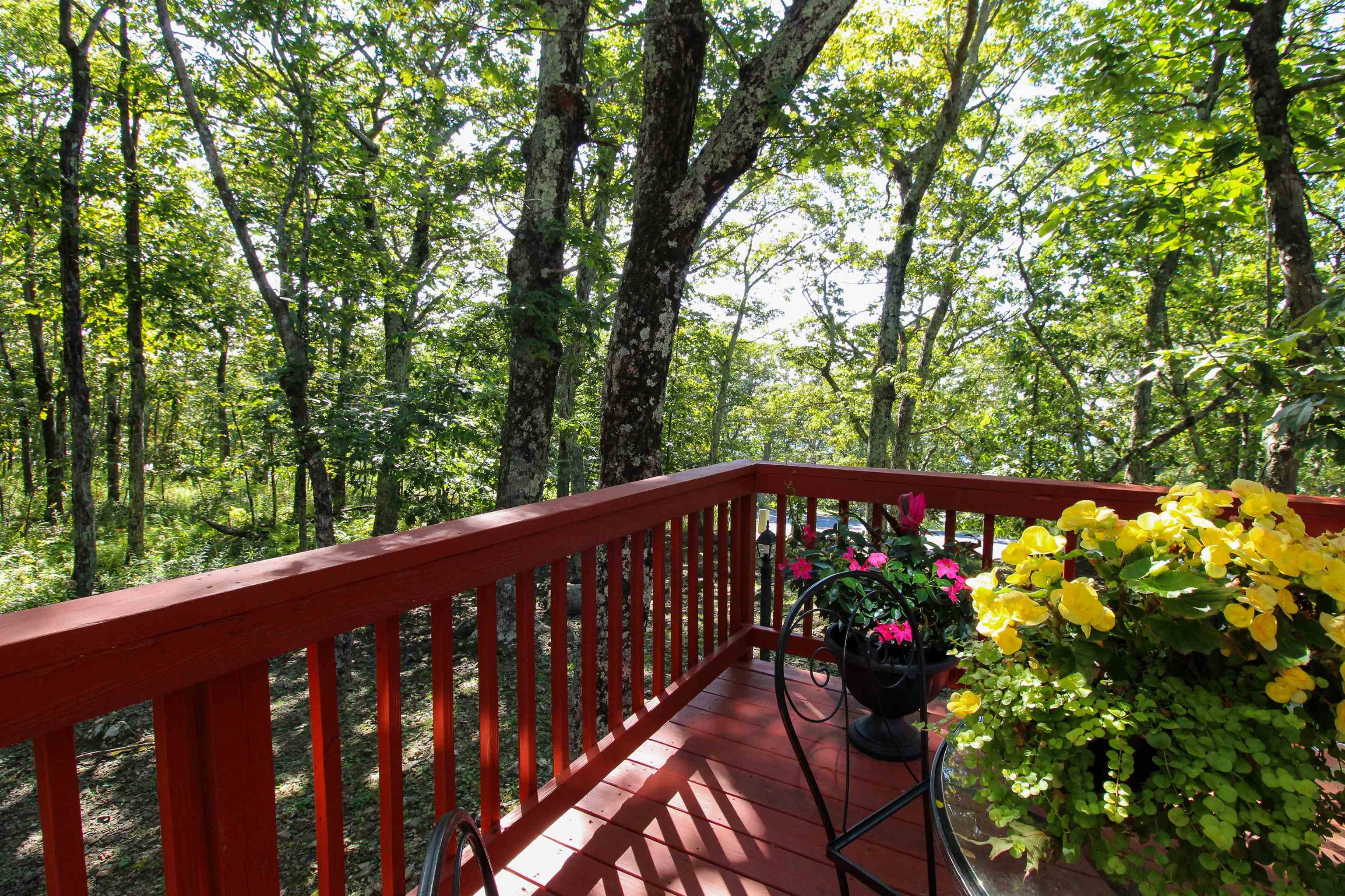 781 DEVILS KNOB LOOP, WINTERGREEN RESORT, Virginia 22967, 3 Bedrooms Bedrooms, ,3 BathroomsBathrooms,Residential,781 DEVILS KNOB LOOP,669248 MLS # 669248